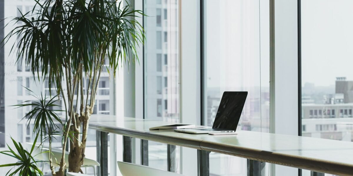 Sunlit office desk with laptop and plants