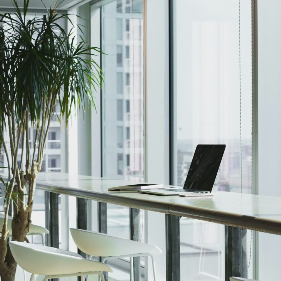 Sunlit office desk with laptop and plants